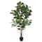 6ft. Potted Artificial Green Fiddle Tree